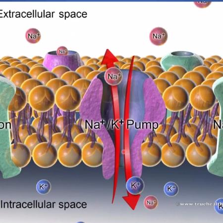 The first five minerals Ca Mg P Na K