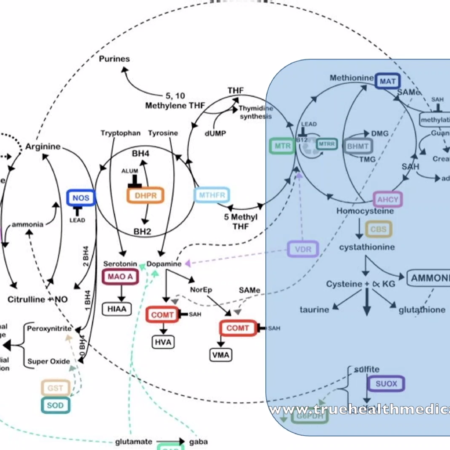 The Five « last but not Least » trace elements